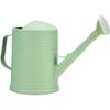 2 L Light Green Watering Can with Removable Rose - for Indoor Plants and Balcony