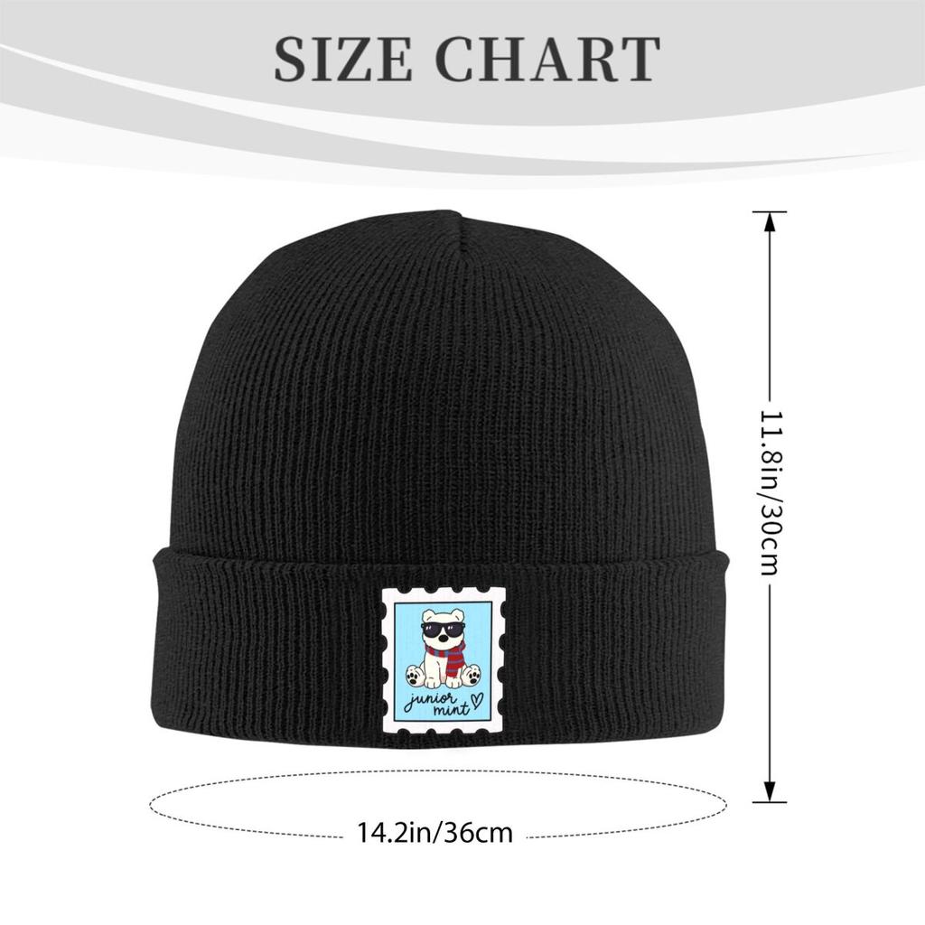 Team Conrad Junior Mint Bear Warme Strickmütze Winter Strickmütze Beanie Hip Hop Kappen für Unisex