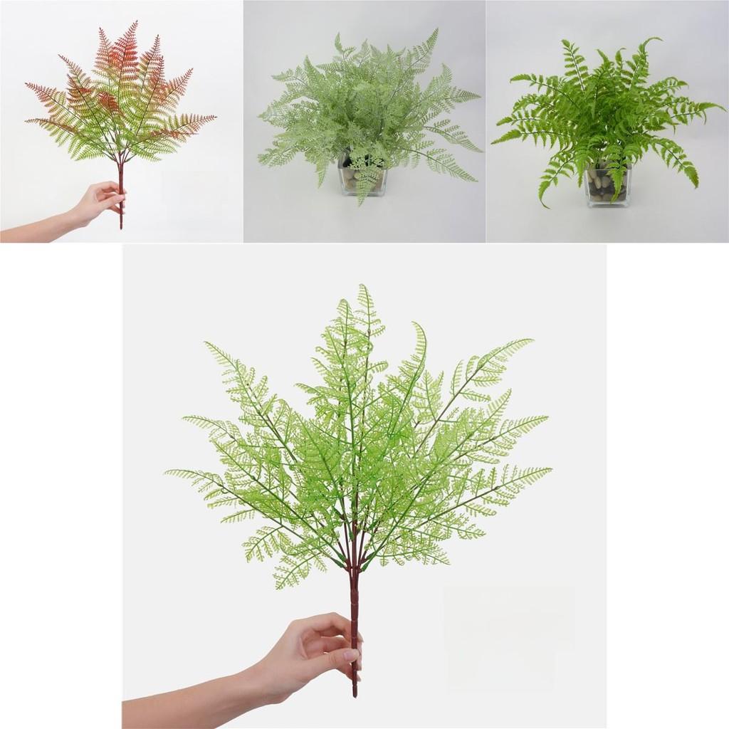 Faux Pteridium Aquilinum Var Latiusculum Plant Decor Set With Realistic Leaf Textures For Garden Photography And Home Decor