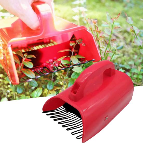 Cueilleur de Myrtilles Cueilleur de Baies avec Bac de Collecte de Fruits Râteau à Myrtilles pour la Récolte Efficace de Framboises Mûres