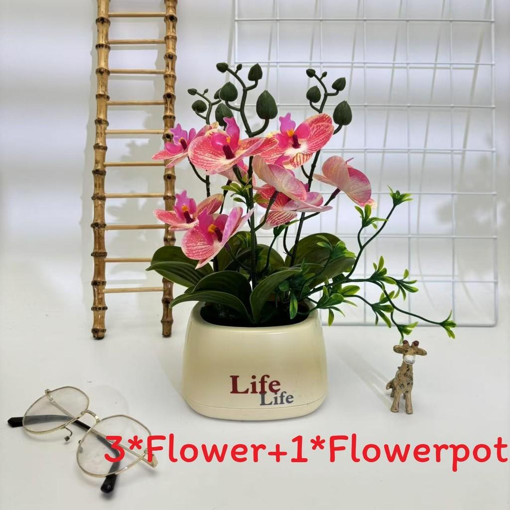 Butterfly Orchid Artificial Plant For Photography Decor And Home Styling