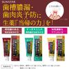 Sunstar [Quasi-drug] Medicinal Salt Toothpaste Angelica Power [Refreshing Herb Type] Toothpaste Herbal Medicine Angelica Gum Care Periodontal Disease