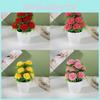 Plastic Flower Pot With Twelve Ball Chrysanthemum For Indoor Decoration