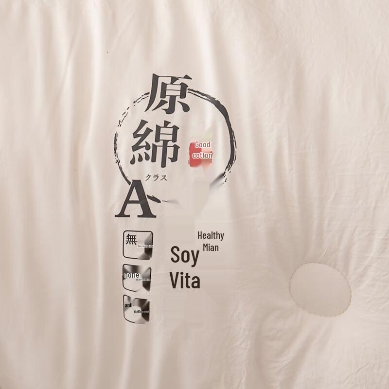 Plover Undyed Cotton Soybean Fiber Winter Quilt