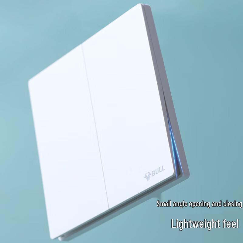 BULL G56 Series Wall Switch with USB