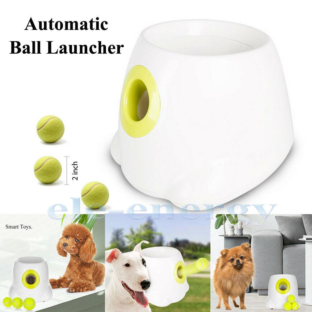 auto throw dog toy