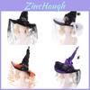 Halloween Witch Hat With Spider Embellishments For Party Cosplay And Dark Magic Decor