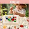 Archaeological Diy Dig Kit Gemstones Fossils For Kids Educational Treasure Play