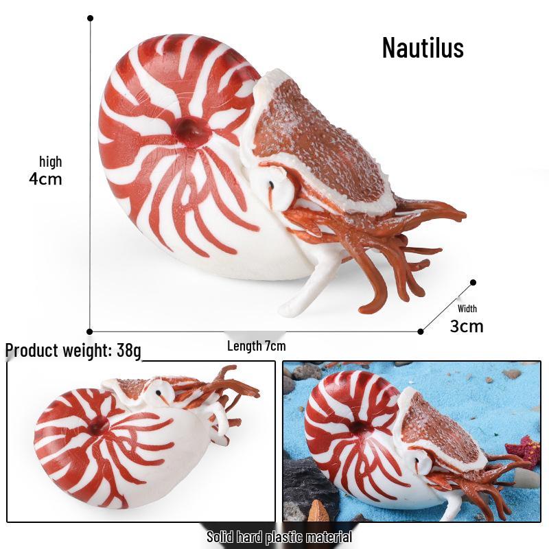 Marine Animal Simulation Models: Jellyfish, Octopus, Sea Shrimp, Sea Anemone, Squid, Horseshoe Crab, Crayfish, Arrowhead