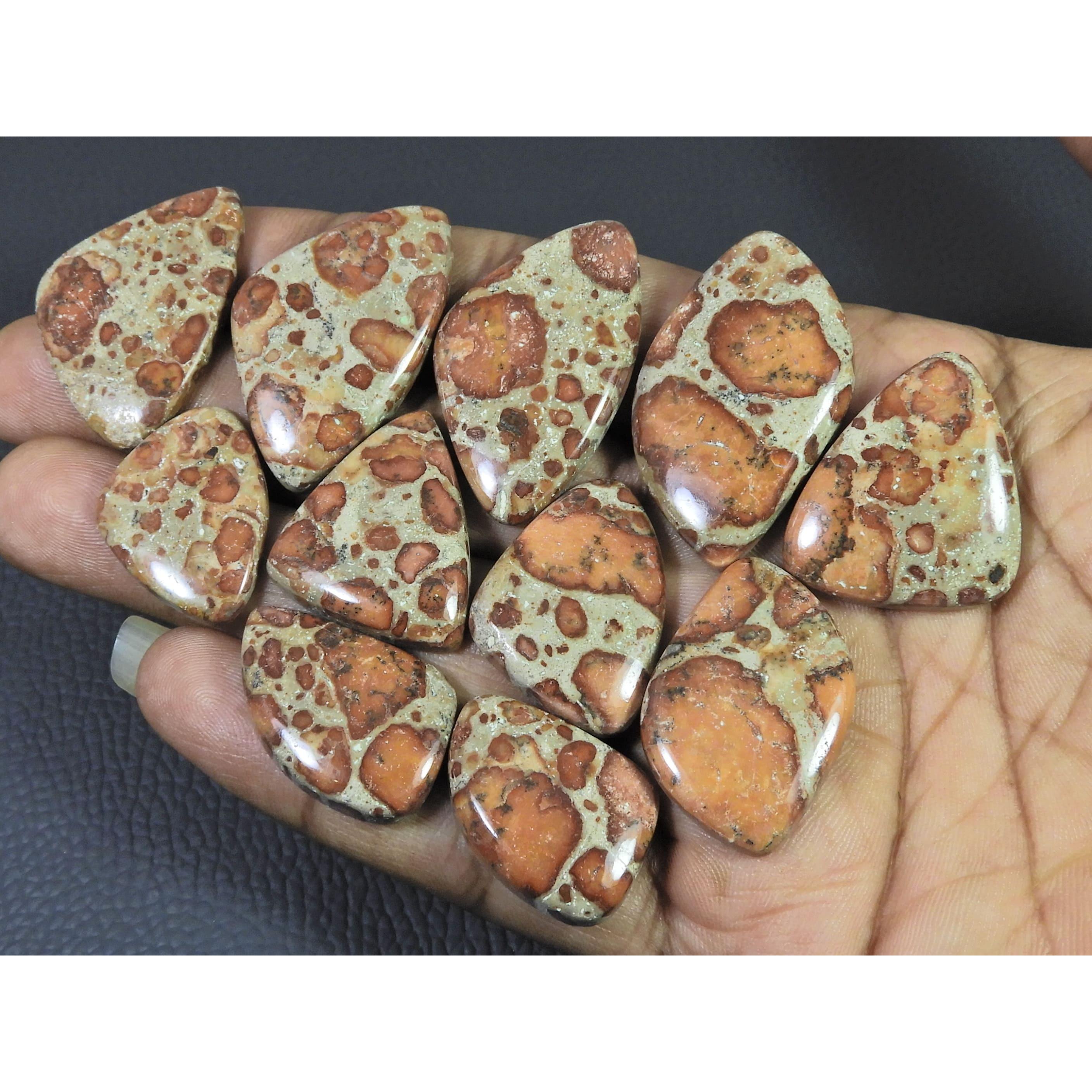 280Cts.Natural Asteroid Jasper Fancy Shape Cabochon Loose Gemstone 11Pcs Lot C-2450
