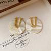Acetic Acid Acetate Hoop Earrings Trendy Geometric Earrings Leopard Print Earrings  Women