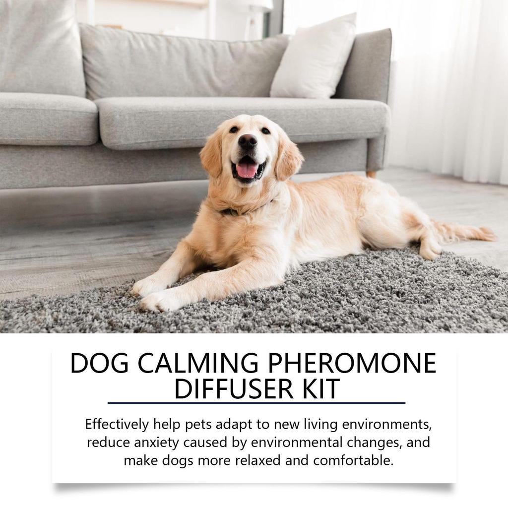 YEGBONG Haustier Beruhigendes Diffuser Set: Lindert Hundeangst und Stress in neuen Zuhause