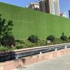Plastic Artificial Grass Roll