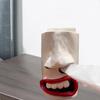Handmade Funny Face Tissue Holder with 3D Nose and Mouth Design, Unique Tissue Box Dispenser for Bedroom Bathroom, Fun Gag Gift