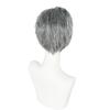 Middle-Aged & Elderly Men's Costume Wig, Grandpa Gray Wig with Beard and Glasses Set