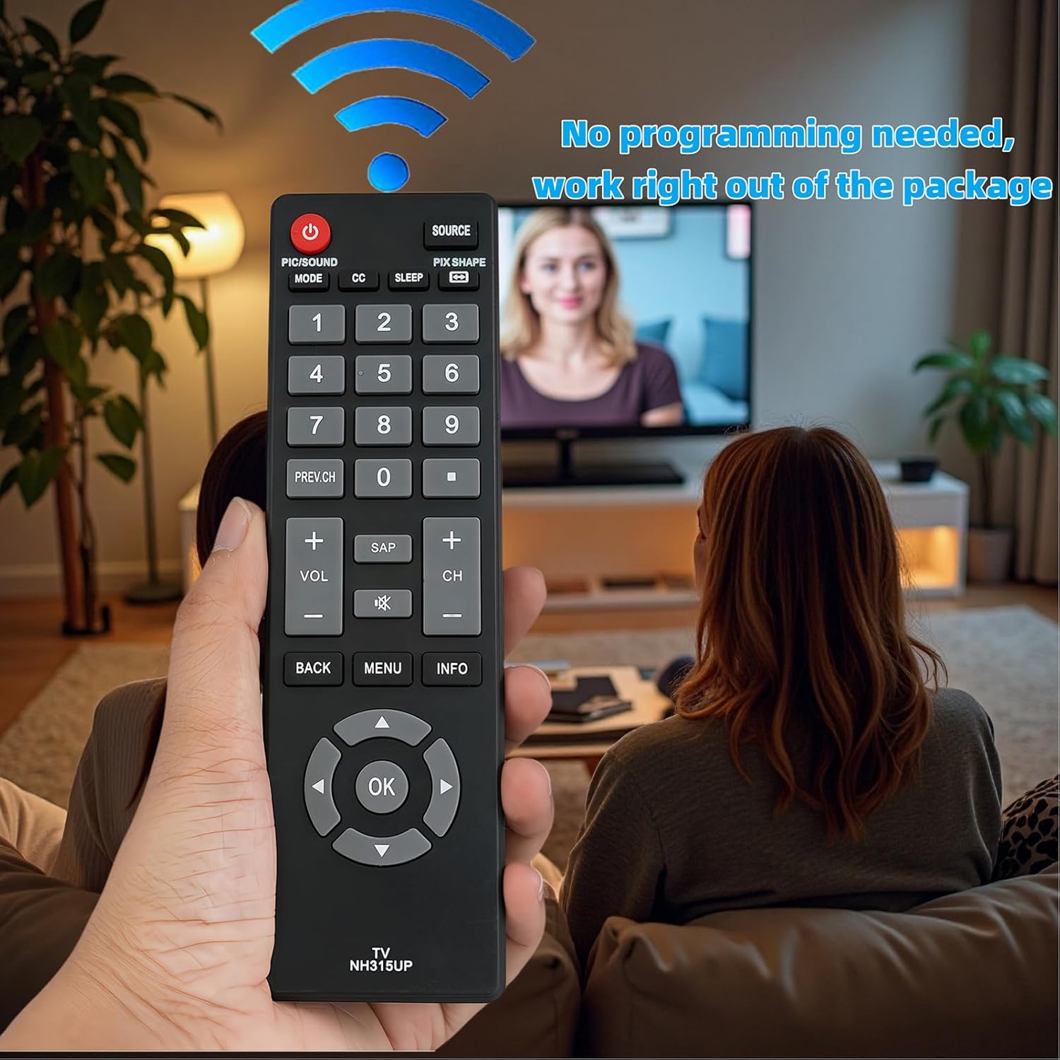 NH315UP Universal Replacement Remote Control Compatible for Sanyo TV