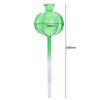 Glass Automatic Plant Watering Bulbs Cactus Plant Water Feeder Glass Bulbs  Outdoor Potted