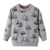 European Style Children's Cotton Long-Sleeve Autumn/Winter Hoodie