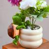 Flower Pot Decorations 2 Pieces Turtle Climbing Plant Hangers Decorations Animal Ornament For Apartment Yard Lawn Garden Patio