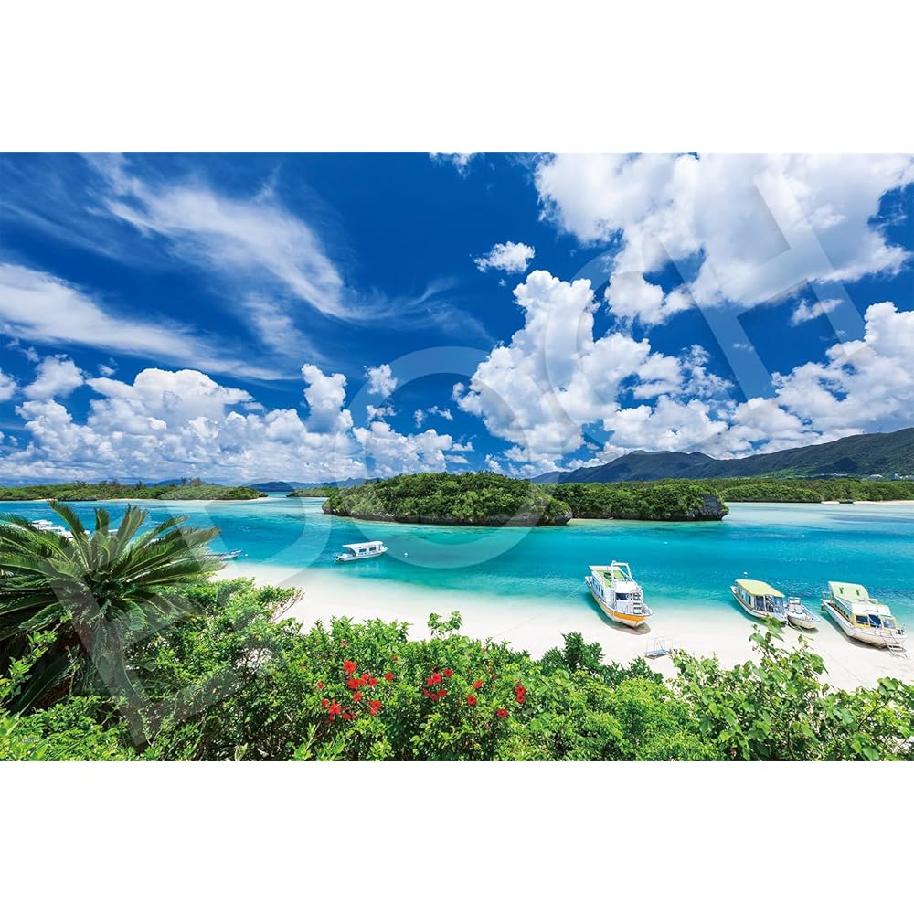 

EPOCH 1000 Piece Jigsaw Puzzle Ishigaki Island Blue Sea Okinawa 50x75cm with Glue and Tool