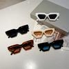Cat Eye Oversized Sunglasses Gradient for Women Fashion Retro Stylish Trend Brand Design Outdoor Party Shades Eyewear