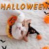 Handmade Cat Collars Cats Nacklace Decoration Halloween Decorative Scarfs For Pets Cat Accessiorie Hallow Pumpkin Collars Decor
