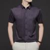 Summer Ice Short Sleeve Shirt Men's Lapel Collar Versatile Top Business
