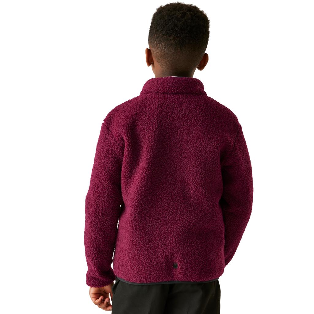 Regatta Childrens/Kids Frankie Full Zip Fleece Jacket