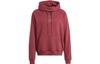 adidas FC Bayern Sweatshirts Men's Dark Red Hooded Moderate Regular HY3303