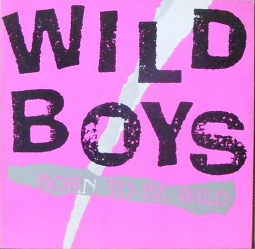 

12inch Record WILD BOYS - Born To Be Wild 020946 Cool Groove 1987 Germany Pop Used