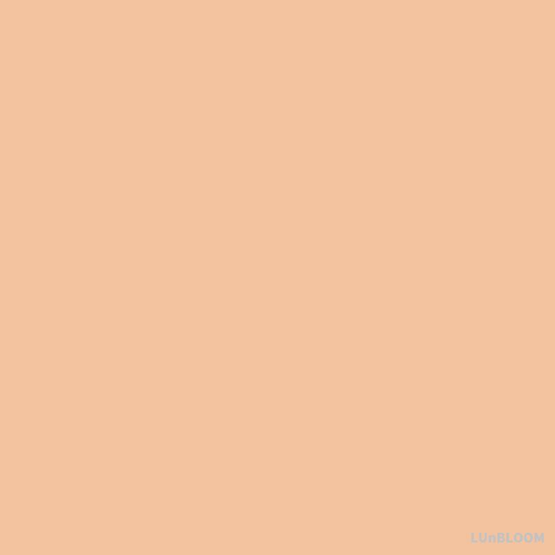 

Skinfood Salmon Dark Circle Concealer Cream 10g (+Free gift) 02 Salmon Beige