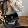 Premium Retro Small Bag Women's Chain Handbag 2025 Autumn and Winter New Shoulder Underarm Bag Foreign Style Messenger Bag