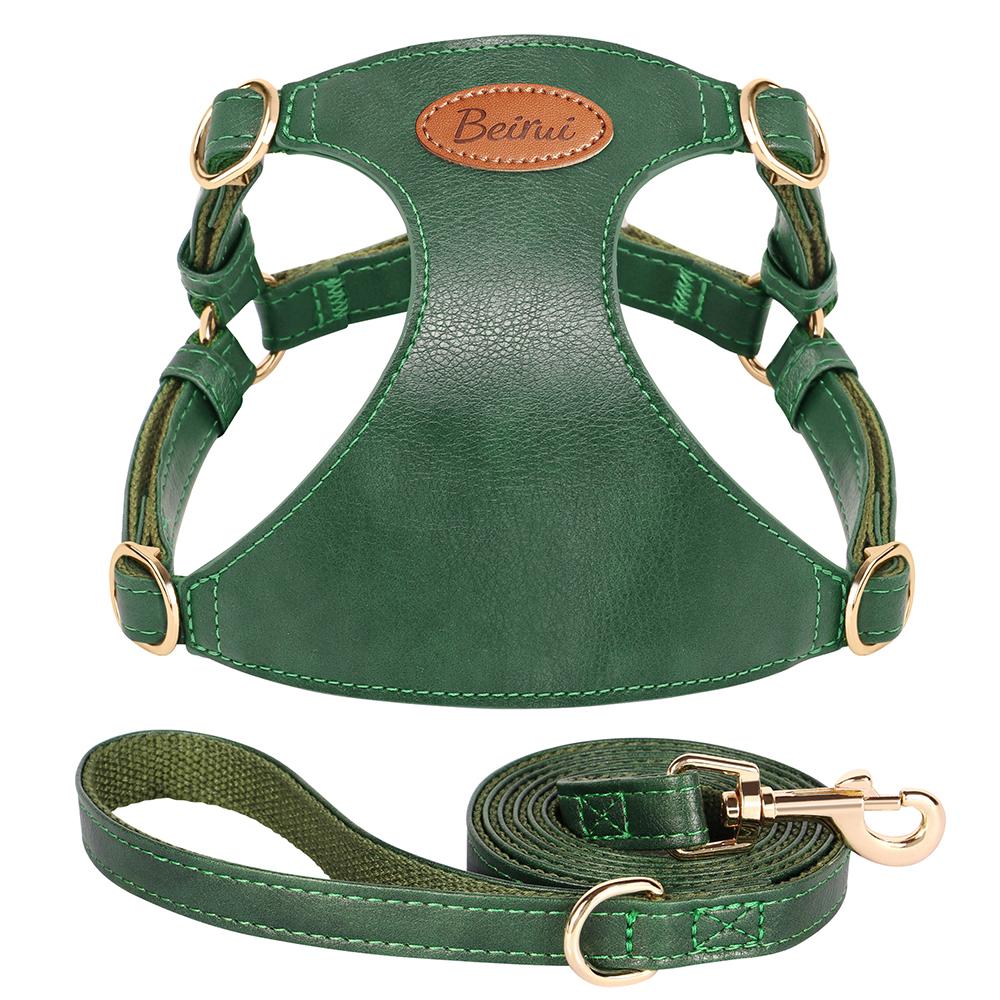Cute Step-In PU Leather Dog Harness & Leash Set Adjustable Pet Puppy Walking Vest Lead for Small Medium Dogs