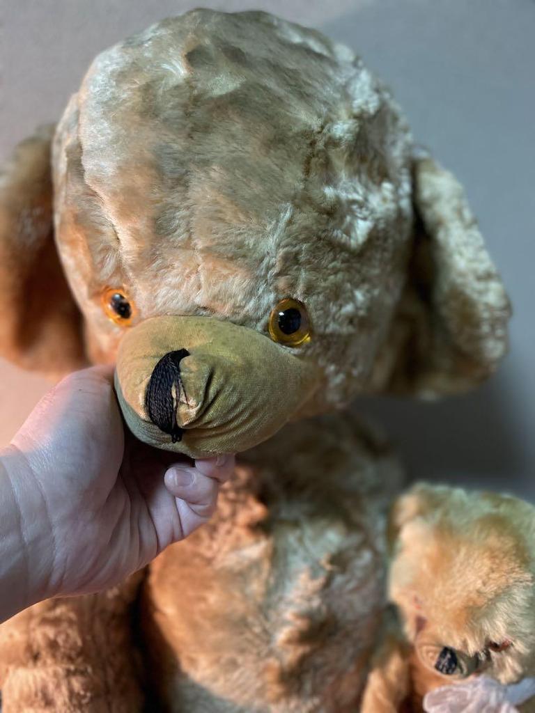 [USED] Large Vintage Cheeky Bear REG Cheeky Bear Vintage Teddy Bear