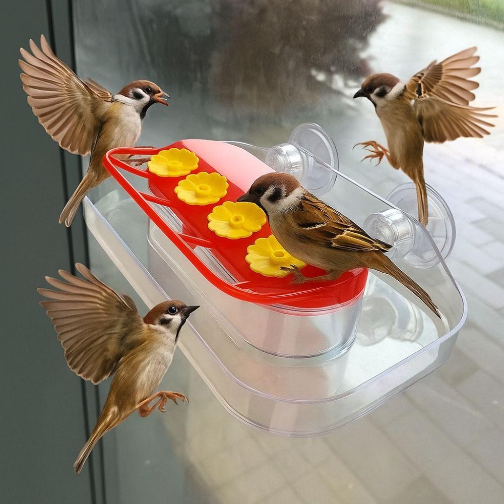 Visible Bird Water Drinker Refillable Hummingbird Water Dispenser Bird Water Station  Window
