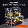 Acrylic Transparent Reptile Terrarium Breeding Box Turtle Cage Nano Arboreal Tarantula Enclosure Dearded Dragon Reptiles Habitat