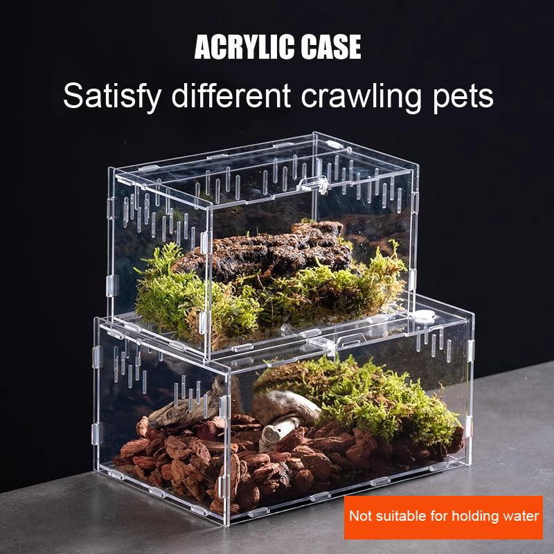 Acrylic Transparent Reptile Terrarium Breeding Box Turtle Cage Nano Arboreal Tarantula Enclosure Dearded Dragon Reptiles Habitat