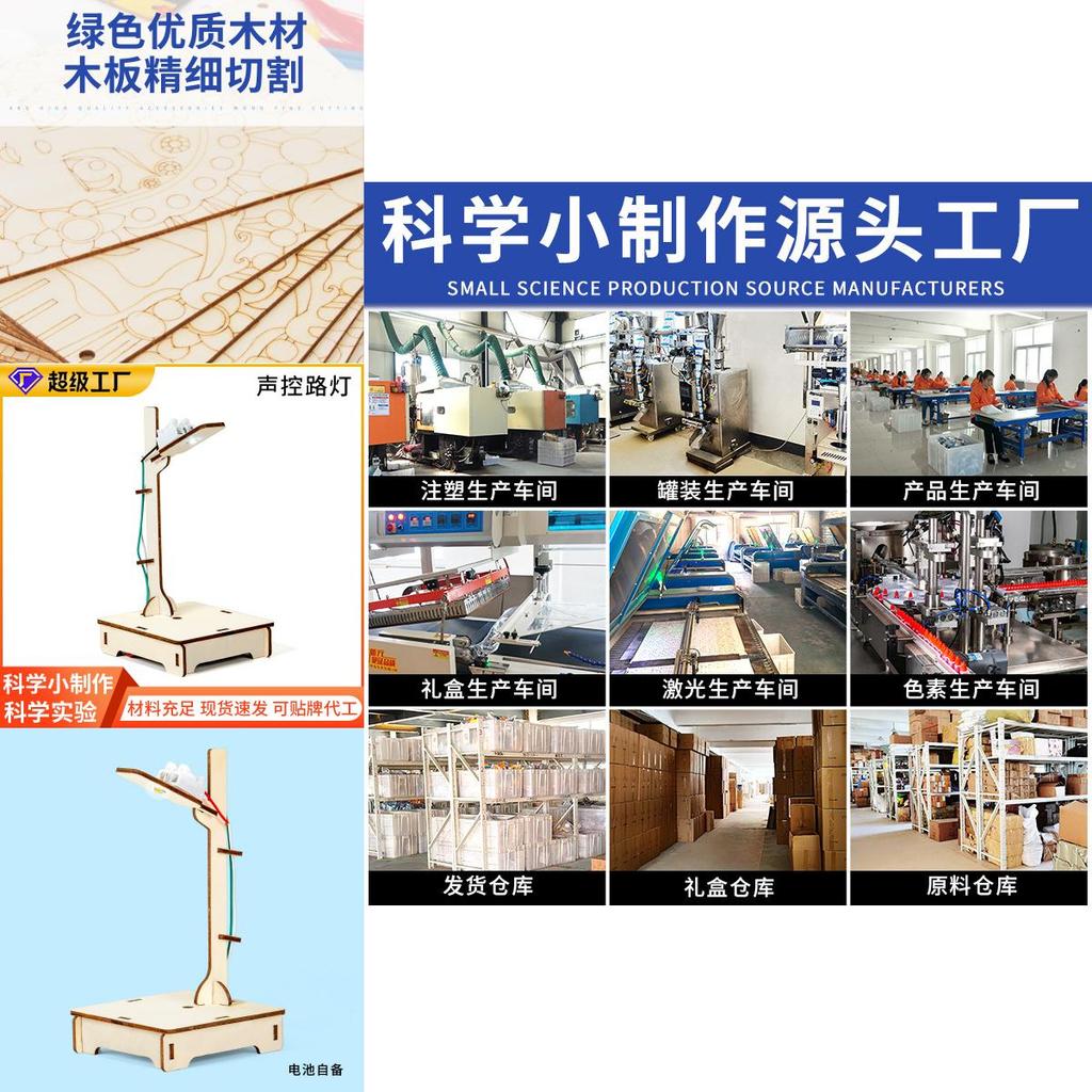Science Diy Voiceactivated Wooden Street Light With Educational Materials For Kids