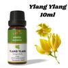 Ananta Ylang Ylang Essential Oil 10 ml | Floral Aromatic Oil | Diffuser & Home Fragrance Use