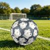 1pc Miniature Schnauzer Portrait Theme Soccer Ball Football, Size 5, Lightweight PVC, Outdoor Training Soccer Ball,Gift c65139