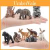 Conjunto de Modelos de Animais Esquilos Com Figuras Realistas de PVC Para Brincadeiras Educativas e Entusiastas de Colecionismo