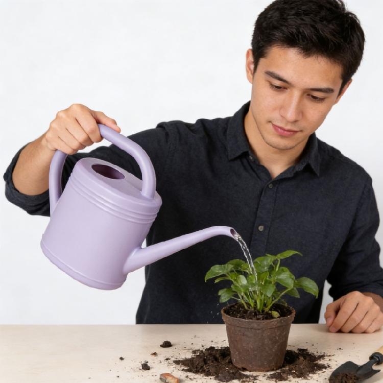 1L/2L Watering Can for Indoor Plant Long Spout Watering Can Indoor Watering Can for House Plant Flowers Succulents