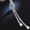 Elegant Claw Chain Long Necklace Simple Versatile High End Luxury for Women Perfect for Autumn and Winter Styles