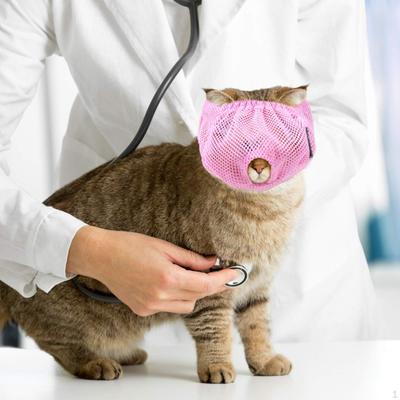Pet Cat Eye Mask Patch Anti Bite Vynikající ochrana Snadné nasazení a sundání Psí