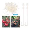 Garden Plants Support Clips Vine Pull Hook for Vegetables Cherry Tomato