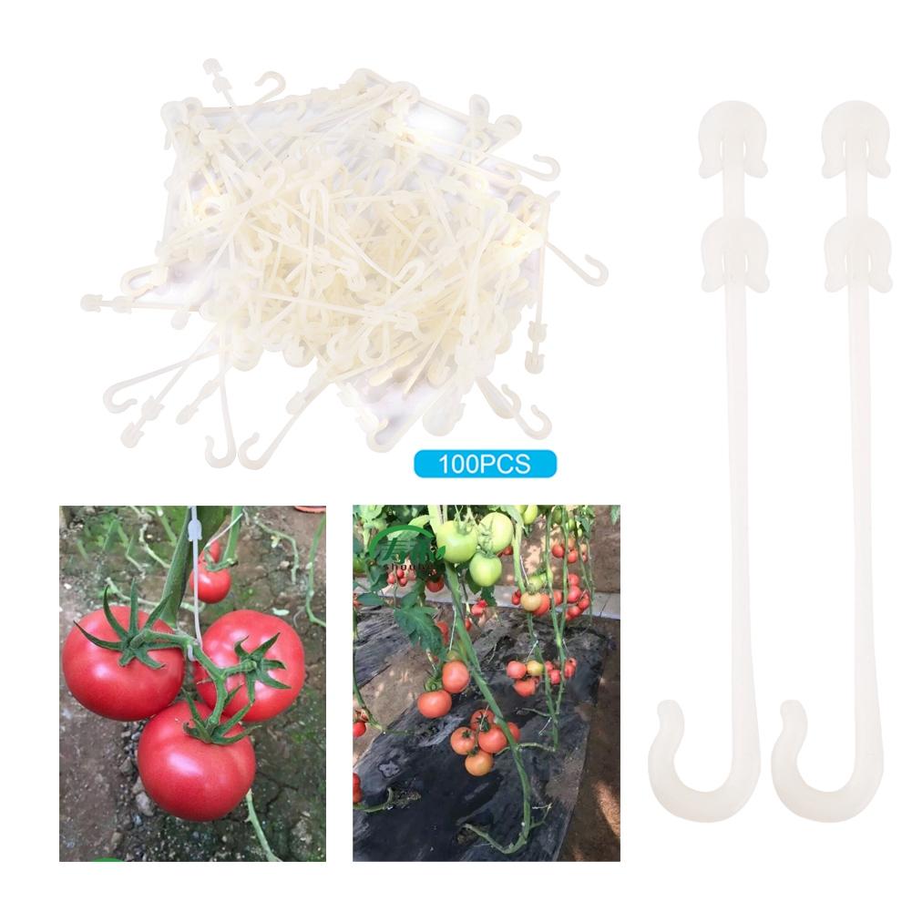 Garden Plants Support Clips Vine Pull Hook for Vegetables Cherry Tomato