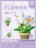 Chao Le Chuang Immortal Flower Building Blocks: Educational Toy & Decorative Bouquet Gift