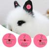 100Pcs Quality Plastic Animal Livestock Ear Tag for Rabbit Fox Dog  Marker Label(Rose Red)