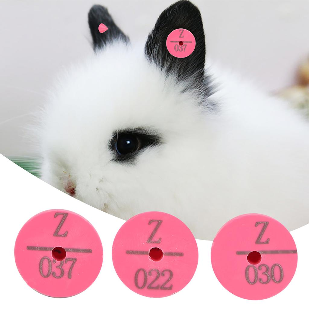 100Pcs Quality Plastic Animal Livestock Ear Tag for Rabbit Fox Dog  Marker Label(Rose Red)