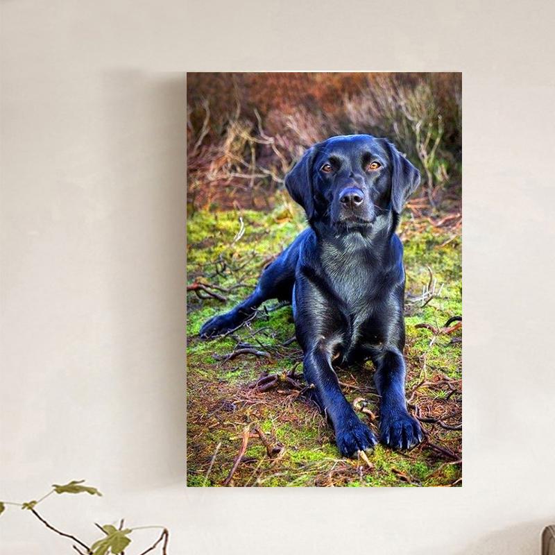 

HUACAN полная квадратная Алмазная вышивка «сделай сам» картина собака наборы для вышивки крестом животные горный хрусталь Рождественский подарок Full square 45*60 cm